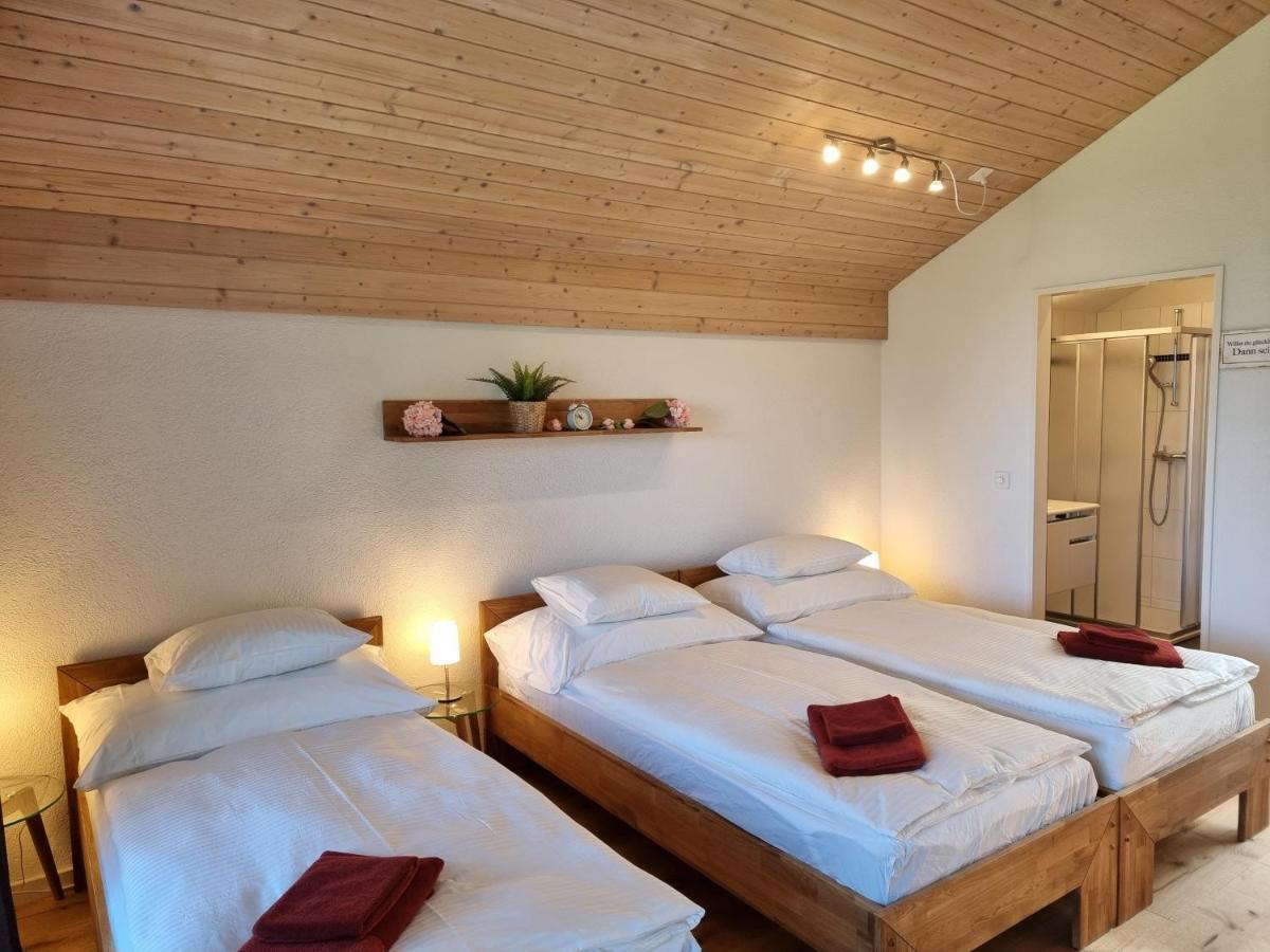 Seeparadiesli Am Schoenen Thunersee Darligen Luaran gambar